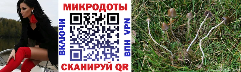 Галлюциногенные грибы Cubensis  Краснознаменск 