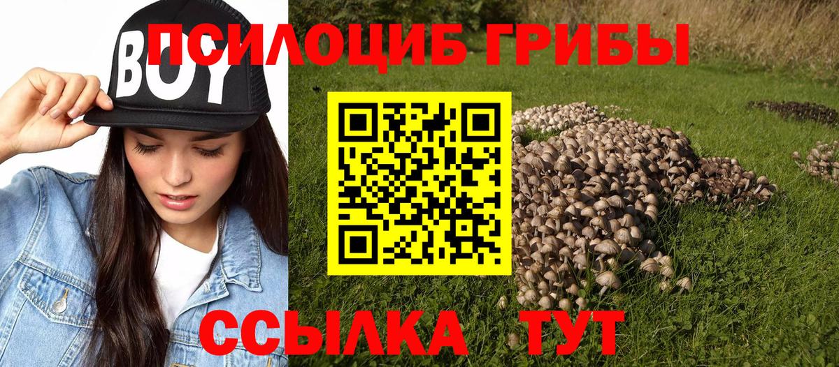 Псилоцибиновые грибы прущие грибы Краснознаменск