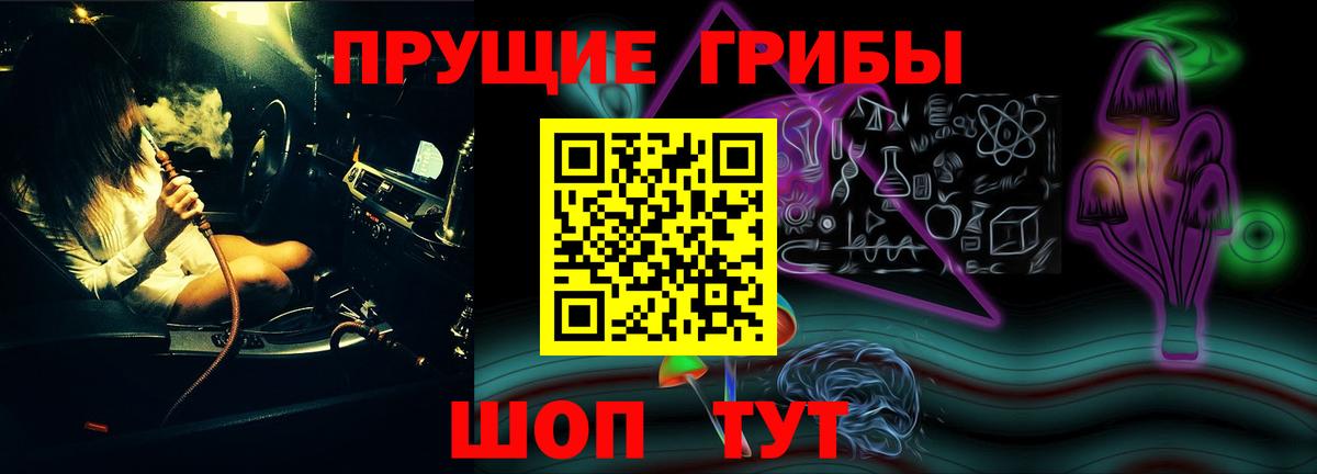 Галлюциногенные грибы мицелий  Вход с VPN  Краснознаменск 